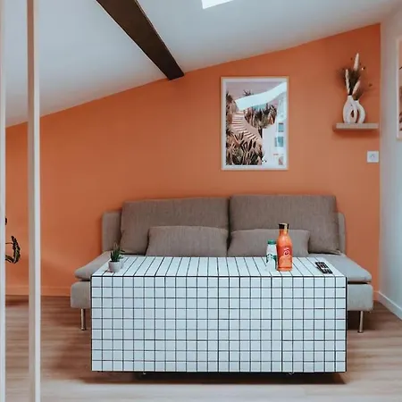 Apartmán Le Nid Douillet De L'hypercentre Toulouse