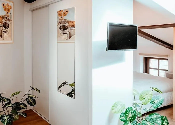 Le Nid Douillet De L'hypercentre