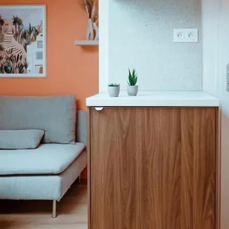 Le Nid Douillet De L'hypercentre * 툴루즈