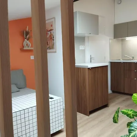 Le Nid Douillet De L'hypercentre * Τουλούζη