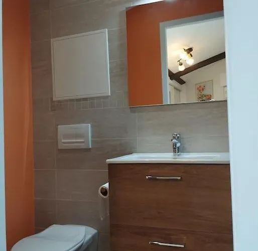 Le Nid Douillet De L'hypercentre * Toulouse