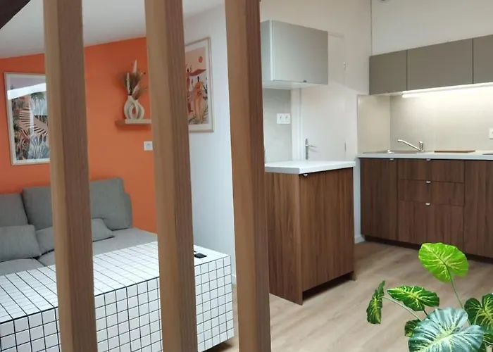 Le Nid Douillet De L'hypercentre * 툴루즈