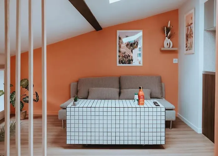 Apartamento Le Nid Douillet De L'hypercentre Toulouse