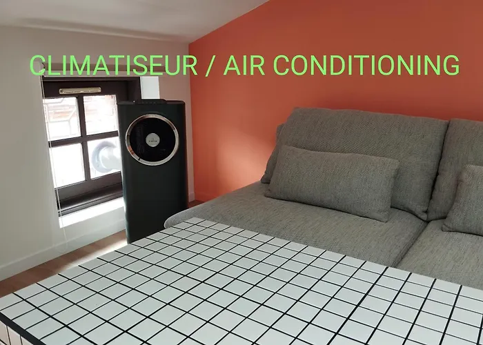 Le Nid Douillet De L'hypercentre Апартаменты Тулуза