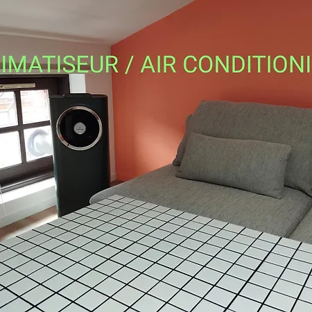 Le Nid Douillet De L'hypercentre アパート トゥールーズ